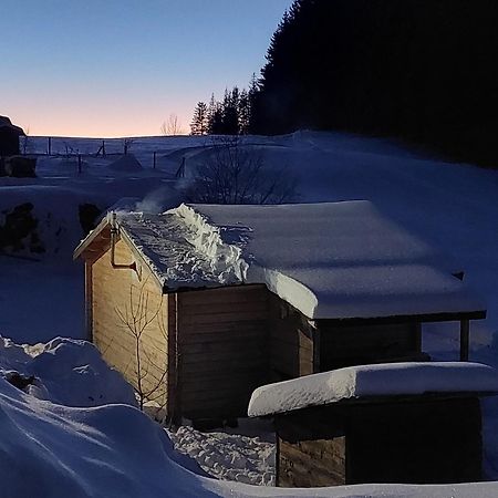 Petit Chalet Nature Les Rousses Εξωτερικό φωτογραφία